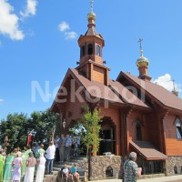 дерев  разноцветный